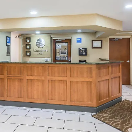 Comfort Inn Gainesville - University Area-2